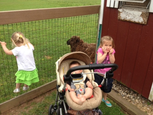 Besides the rebellious little girl on the fence and the fact that you can't see my son's face in this picture, we had a great trip to the farm!